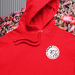 Load image into Gallery viewer, hoodie ynwa