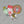 Load image into Gallery viewer, Liverpool 20 Times Champions Sticker Pack x4
