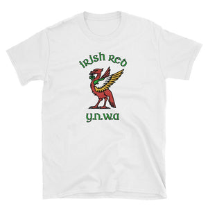 Irish Liverpool T-Shirt-Kop Clobber